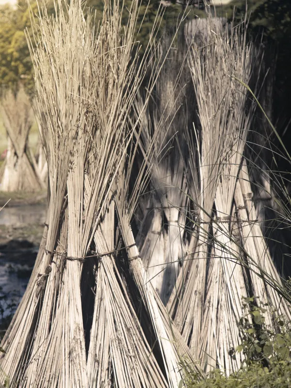 Jute: ein besonderer Werkstoff!